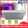 LED Grow Light Full Spectrum Hanging 225 LEDs Plant Grow Lamp Indoor Grow Light for Greenhouse Succulents Seedlings Plants Veg and Flower（15W LEDs）